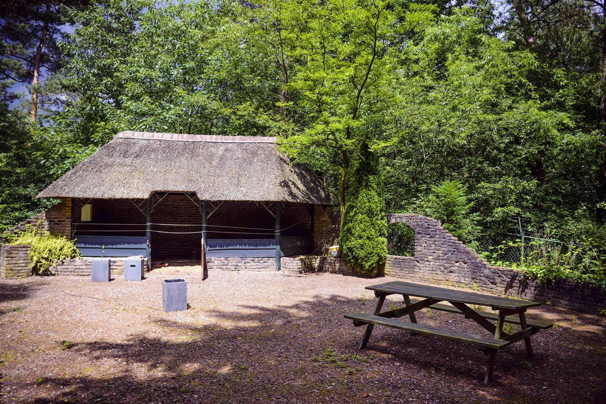 Fletcher Hotel Restaurant De Wipselberg-Veluwe Beekbergen Esterno foto